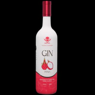 Gin Saborizado Pitaya - bebida mansão maromba